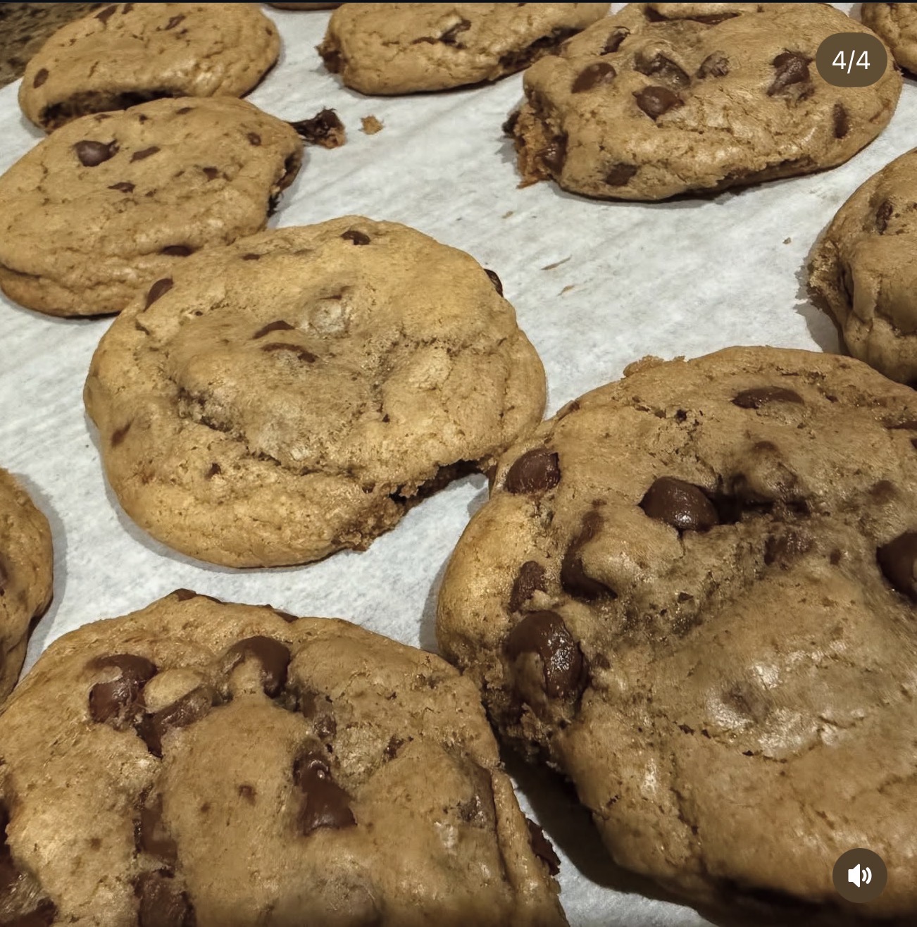 Fresh-baked chocolate chip cookies